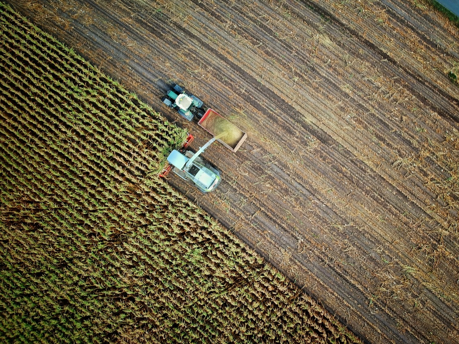 Como a inteligência artificial está transformando o agronegócio brasileiro